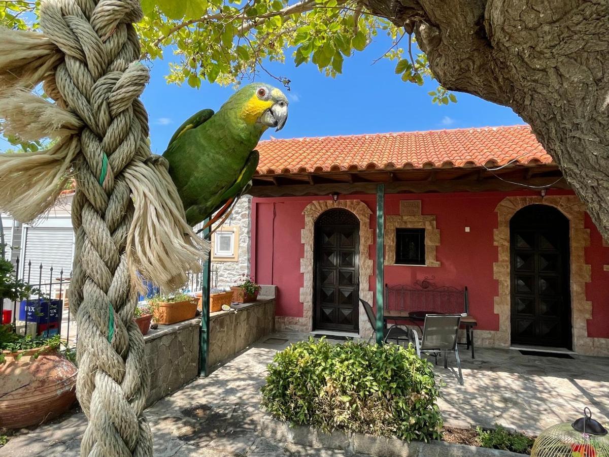 Terracotta Boutique Beach Studios Mithymna Exterior photo